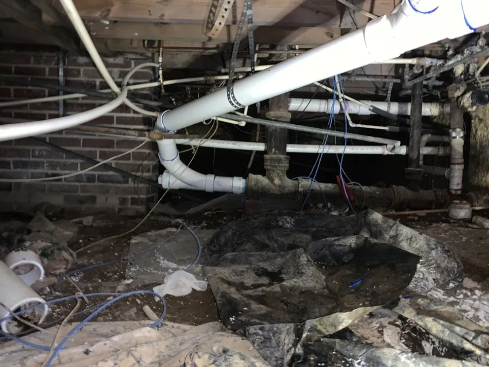 Slide of Doctor Drips