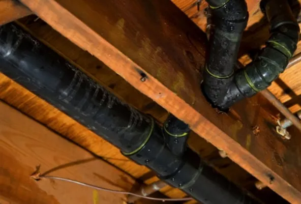 Slide of Doctor of Leaks