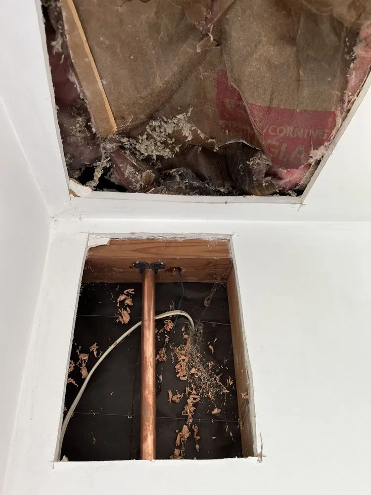 Slide of Doctor Piper - Copper & PEX Repipe Specialist