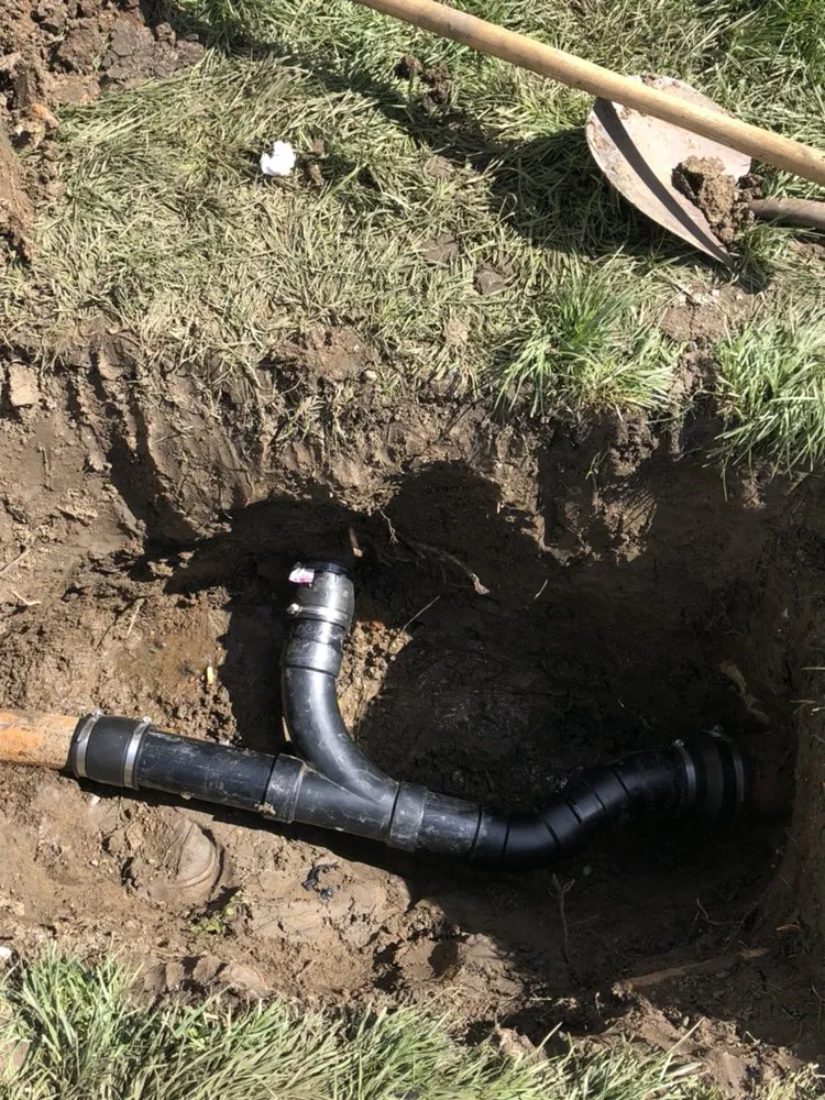 Slide of Doctor Rooter