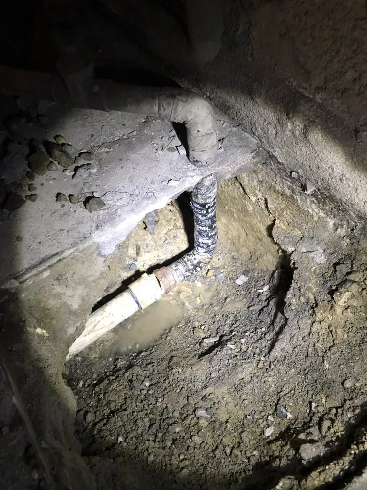 Slide of Doctor Rooter