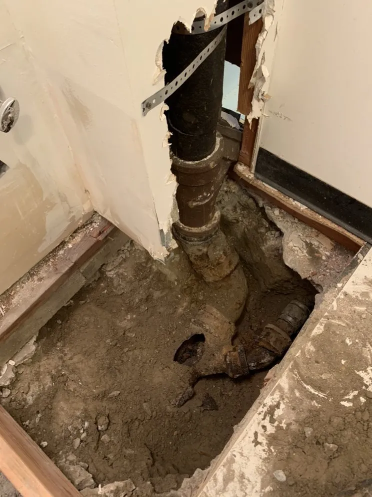 Slide of Doctor Rooter