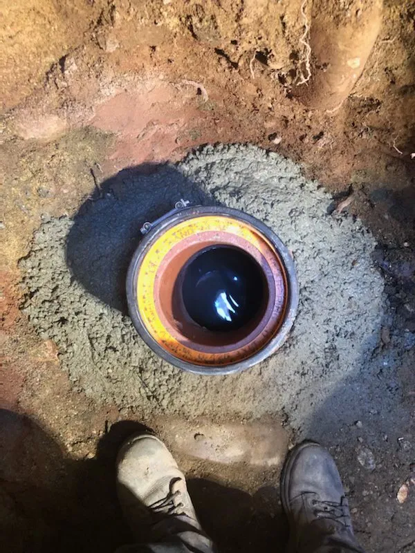 Slide of Doctor Rooter