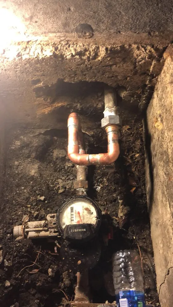 Slide of Doctor Rooter