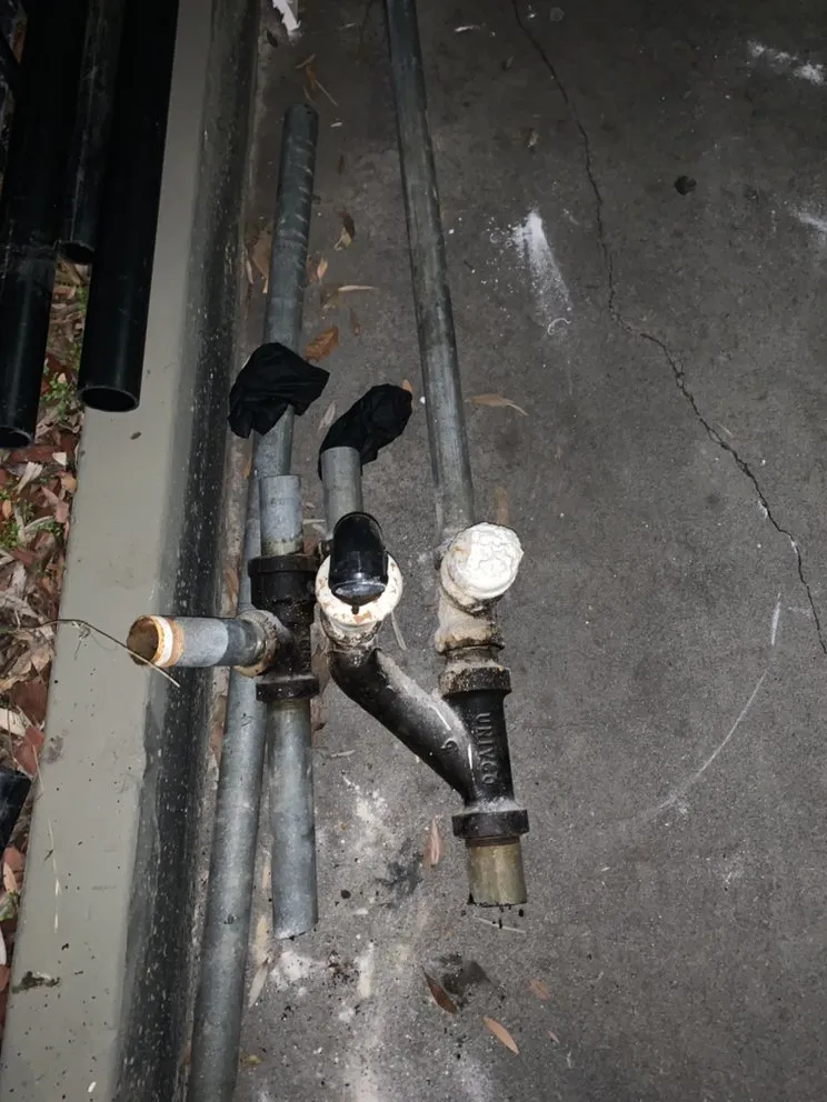 Slide of Doctor Rooter