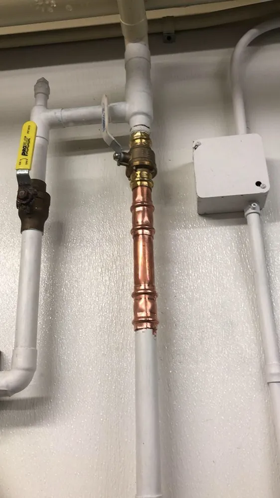 Slide of Doctor Rooter