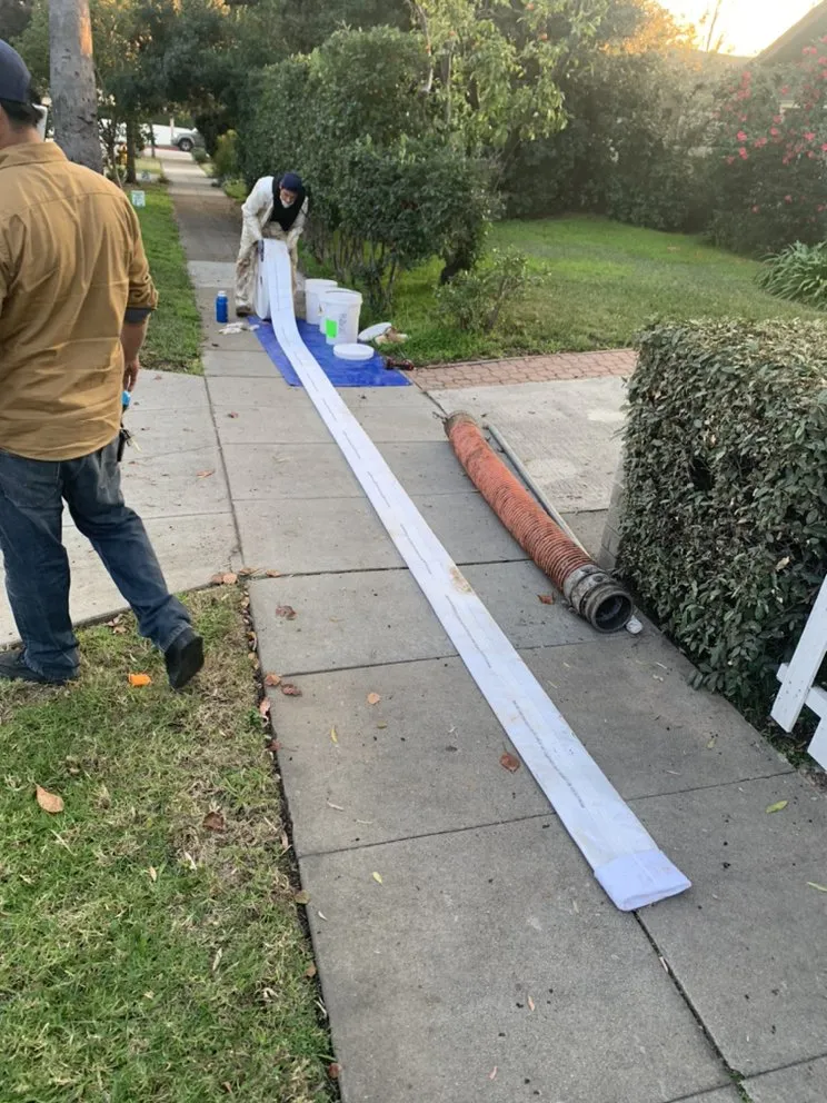 Slide of Doctor Rooter