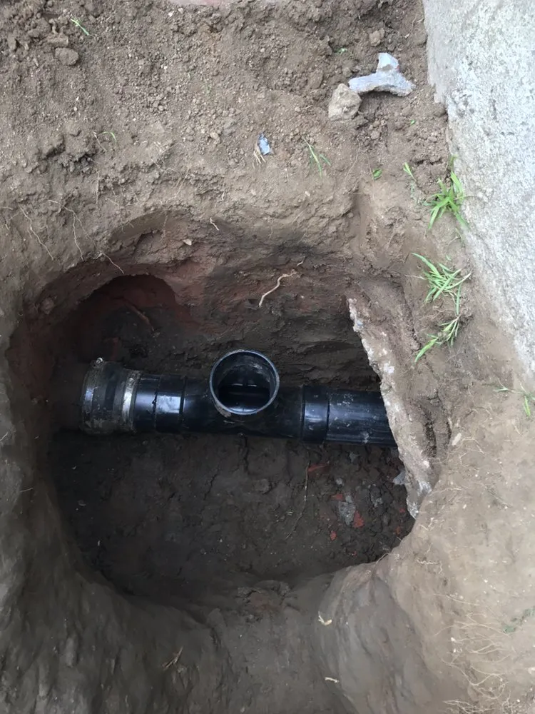 Slide of Doctor Rooter