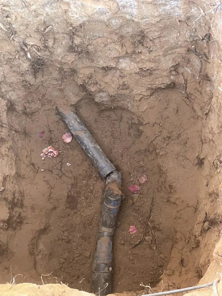 Slide of Doctor Rooter