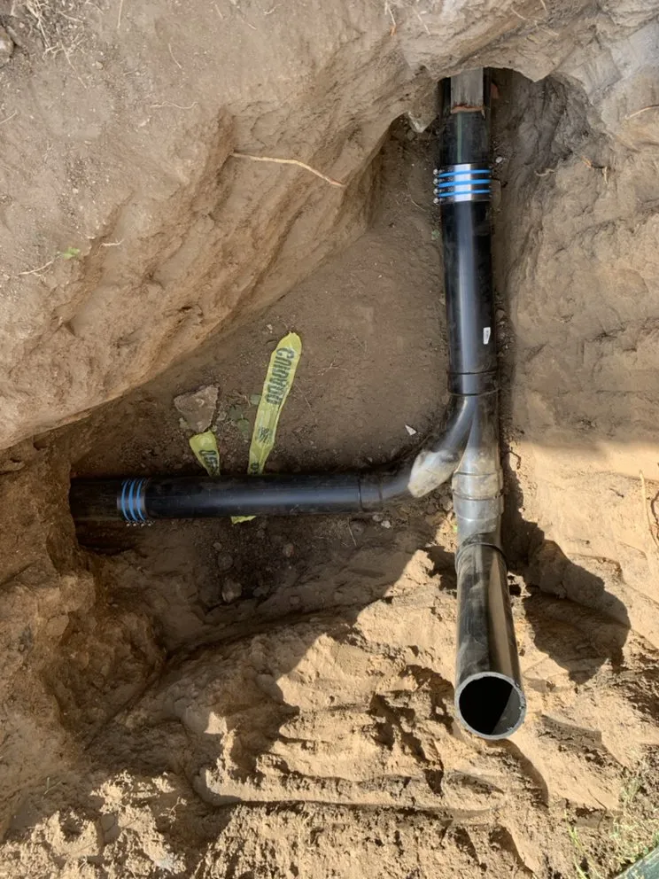 Slide of Doctor Rooter