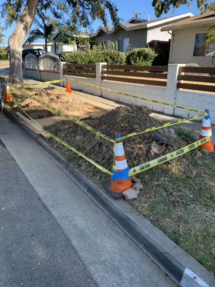 Slide of Doctor Rooter