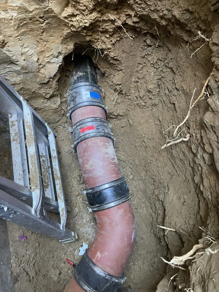 Slide of Doctor Rooter