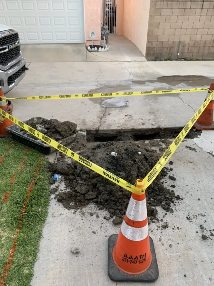 Slide of Doctor Rooter