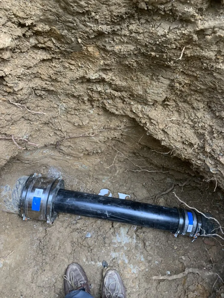 Slide of Doctor Rooter