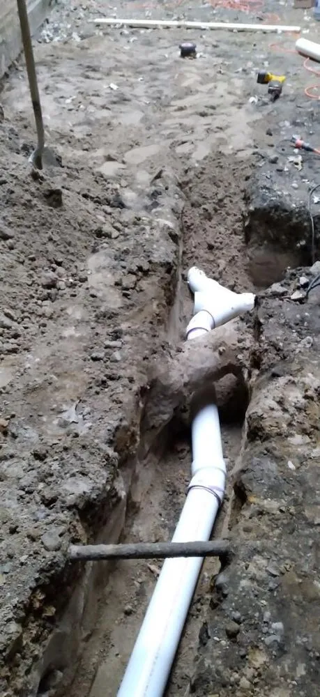 Slide of Dolcinium Plumbing