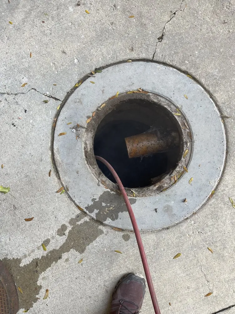 Slide of Dolcinium Plumbing