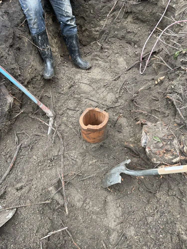 Slide of Dolcinium Plumbing