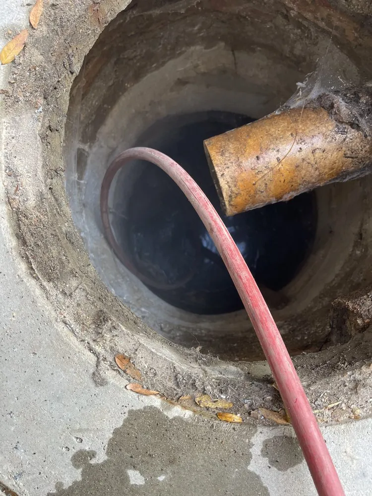 Slide of Dolcinium Plumbing