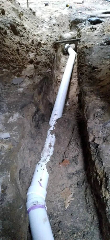 Slide of Dolcinium Plumbing