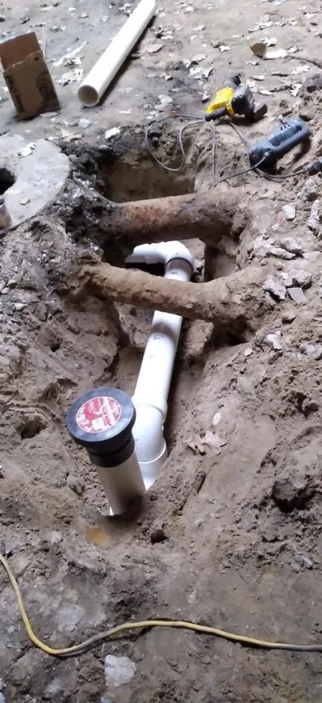 Slide of Dolcinium Plumbing