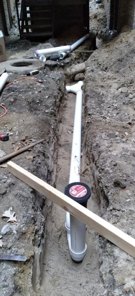 Slide of Dolcinium Plumbing