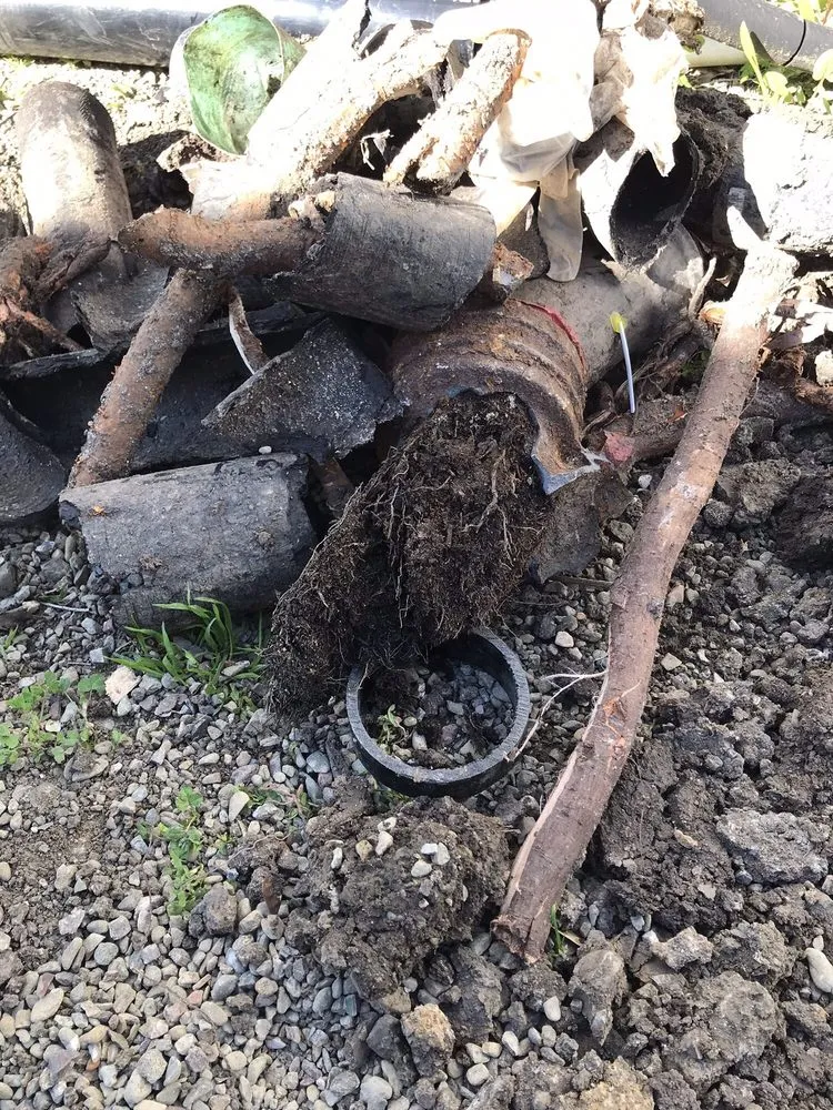 Quality leak detection service in Rancho Cucamonga, CA - Dollar Plumbing