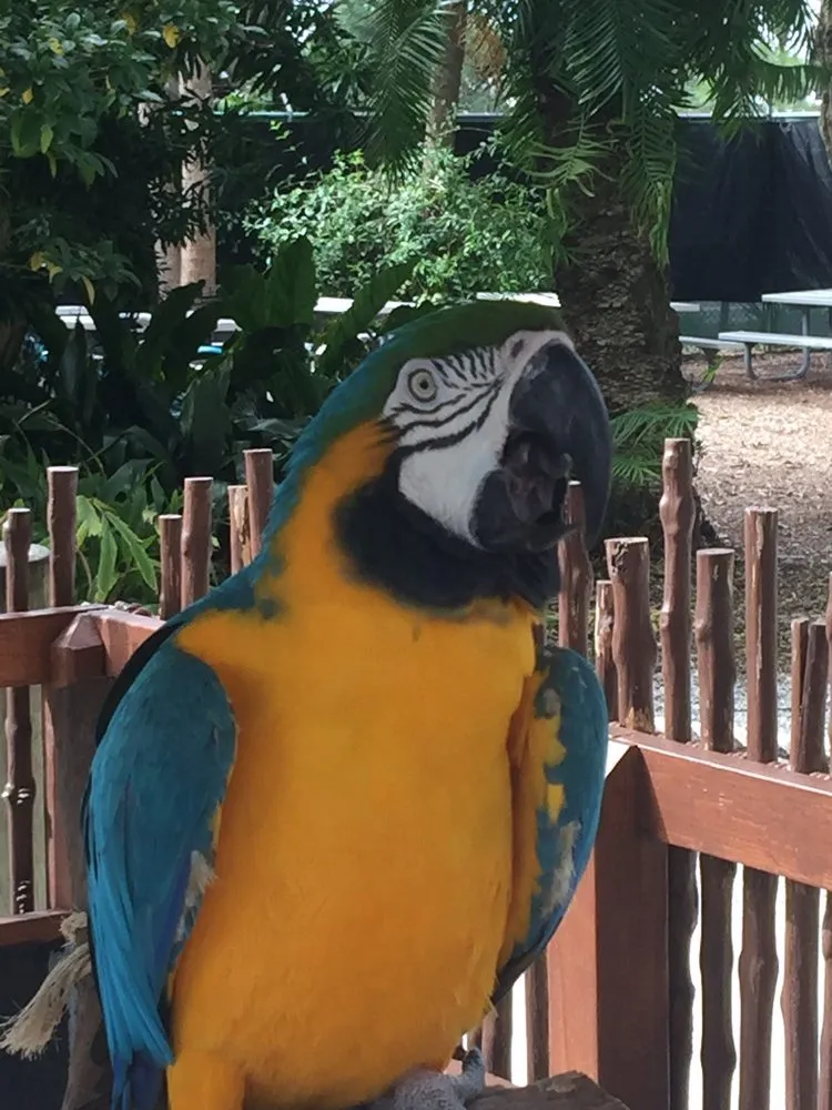 Slide of Dolphin Plumbing & Drain