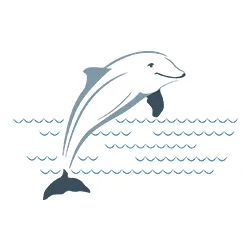 Slide of Dolphin Plumbing