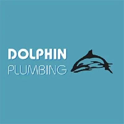 Reliable pipe repair experts serving St. Petersburg, FL - Dolphin Plumbing