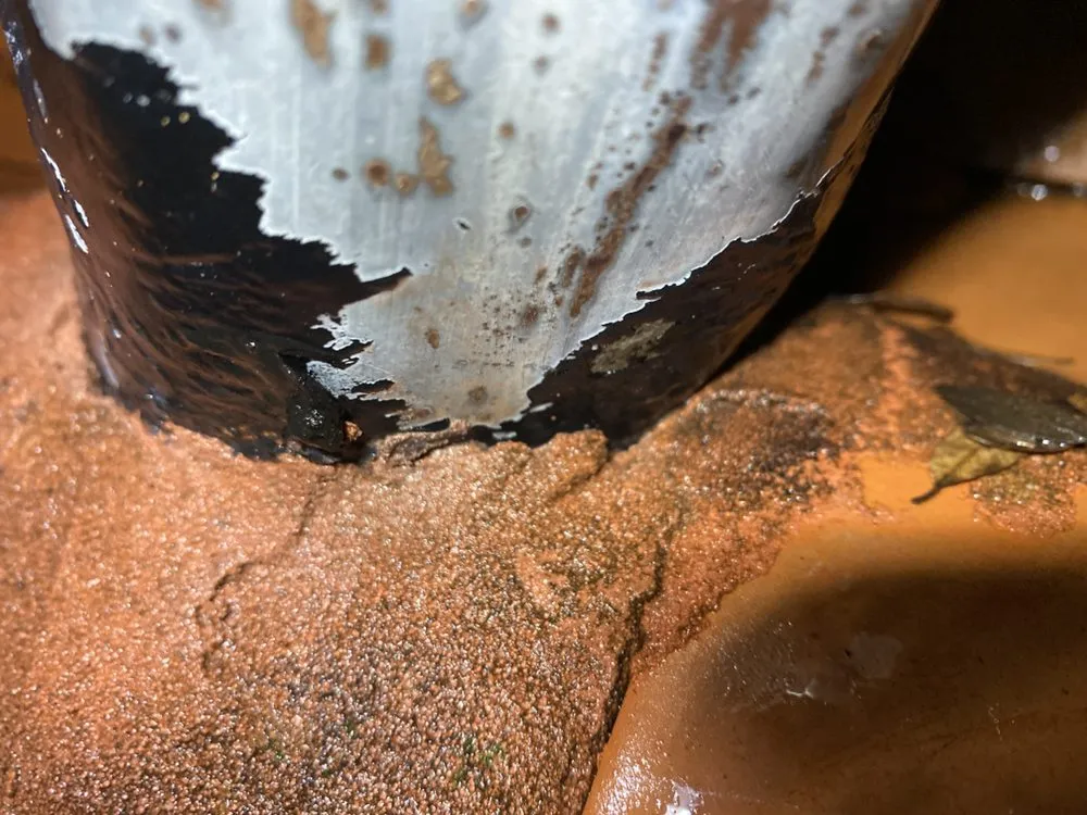 Slide of Dolphinz Plumbing