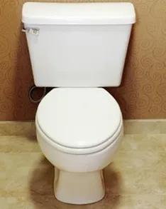 Domenick Electric Sewer Cleaning