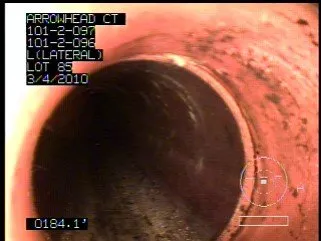 Slide of Dominion Root Control