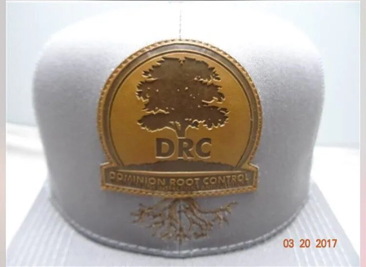 Slide of Dominion Root Control
