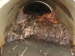 Slide of Dominion Root Control