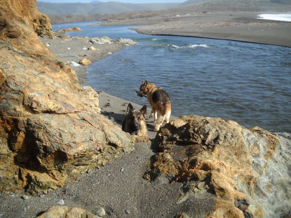 Quality drain cleaning experts serving Morro Bay, CA - Don Leitch Construction