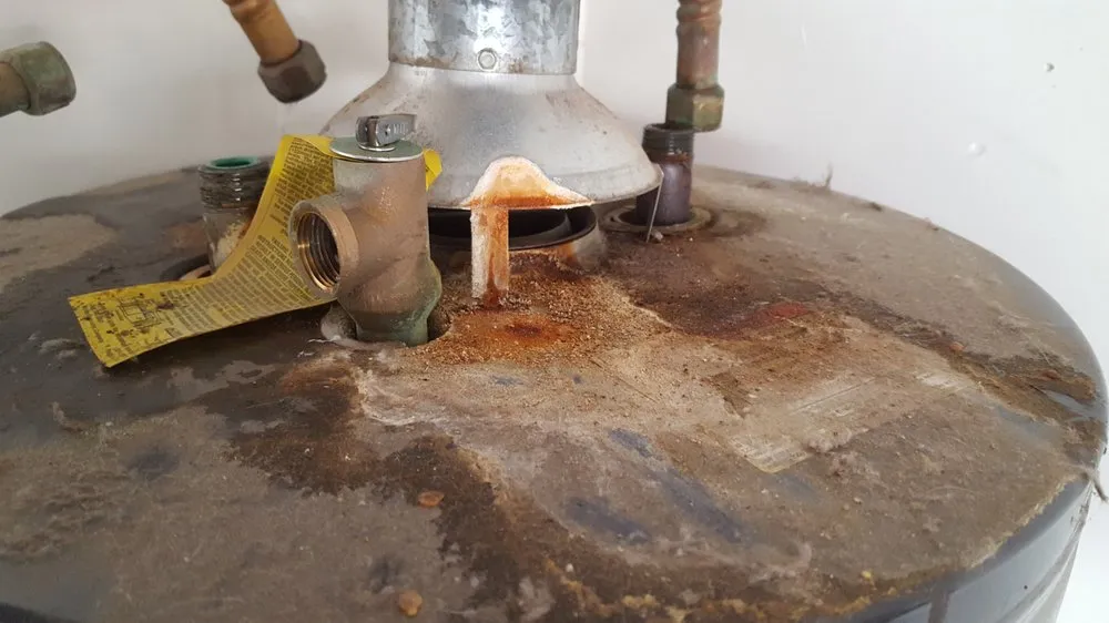 Slide of Don the Plumber