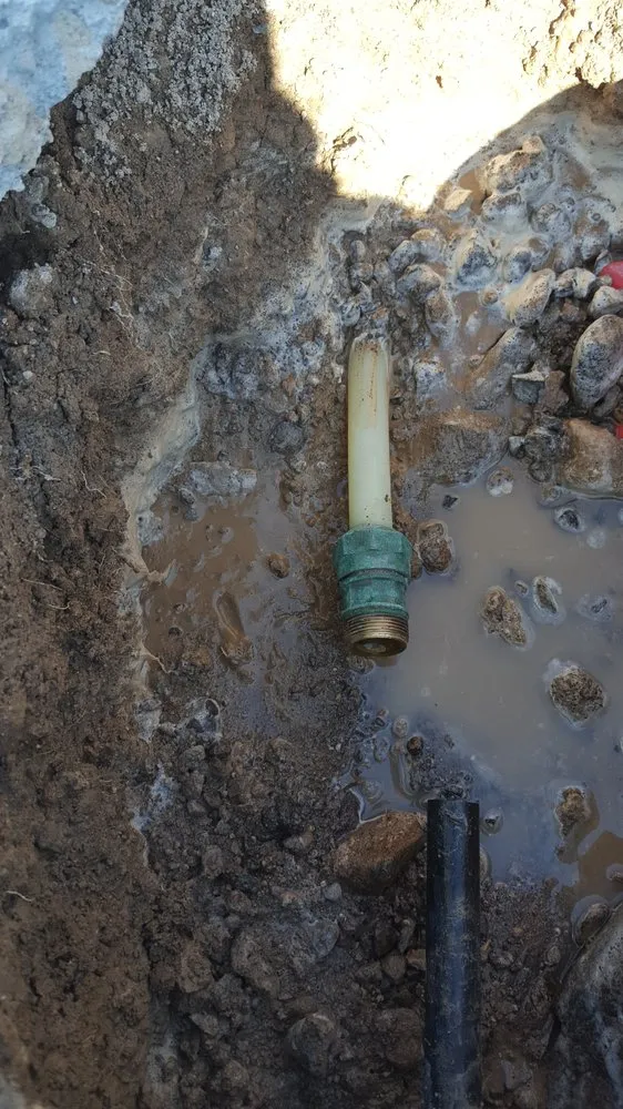 Slide of Don the Plumber