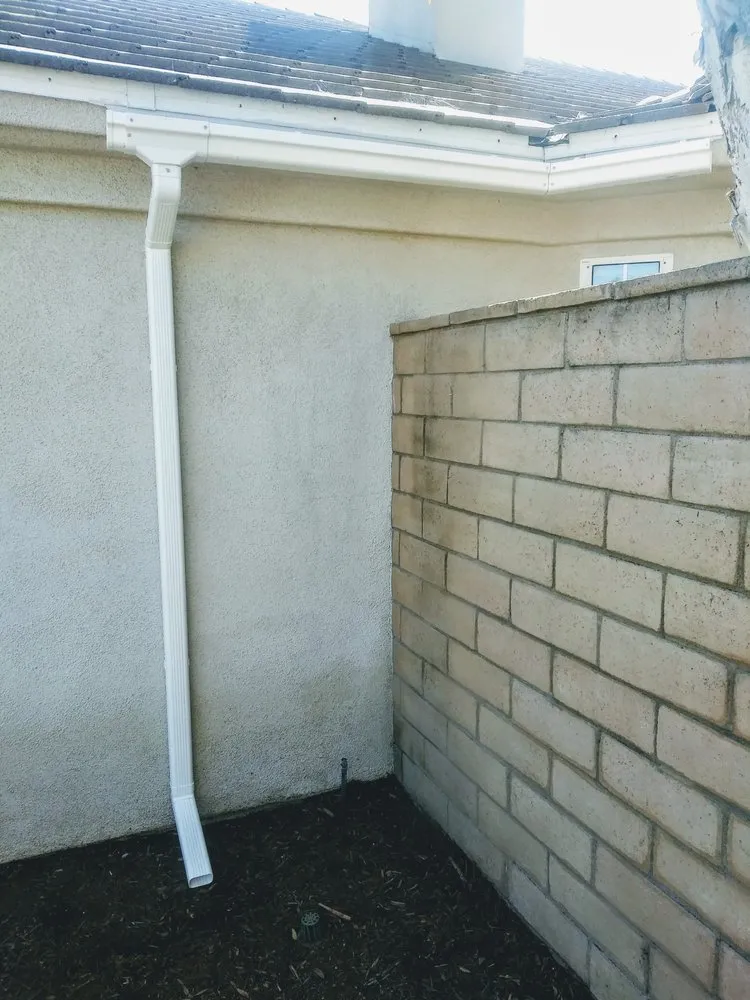 Slide of Donald R Mac Phail