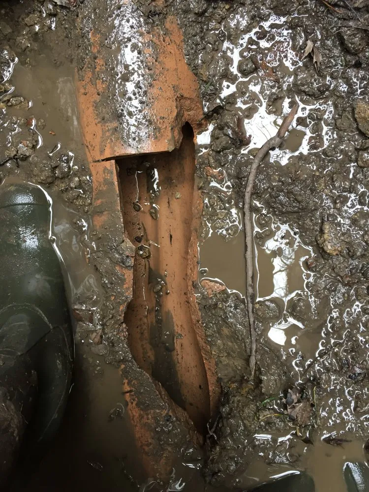 Emergency plumbing repair experts serving South Holland, IL - Done Right Sewer and Drain