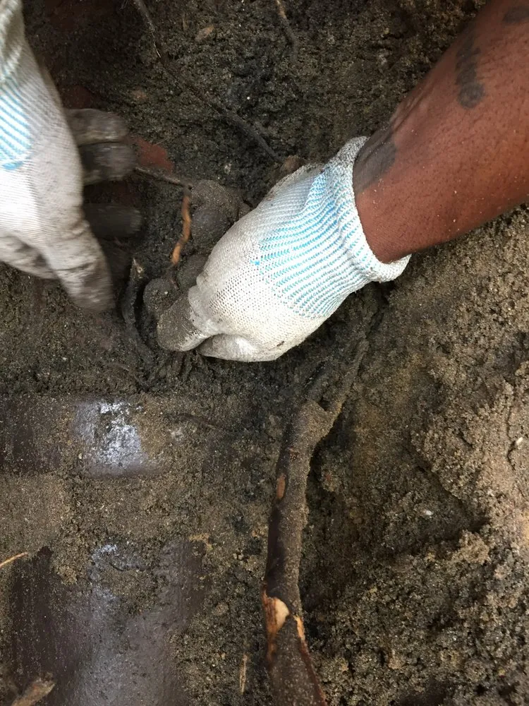 Emergency water heater service service in South Holland, IL - Done Right Sewer and Drain