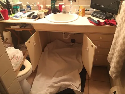 Done With Pride Logo