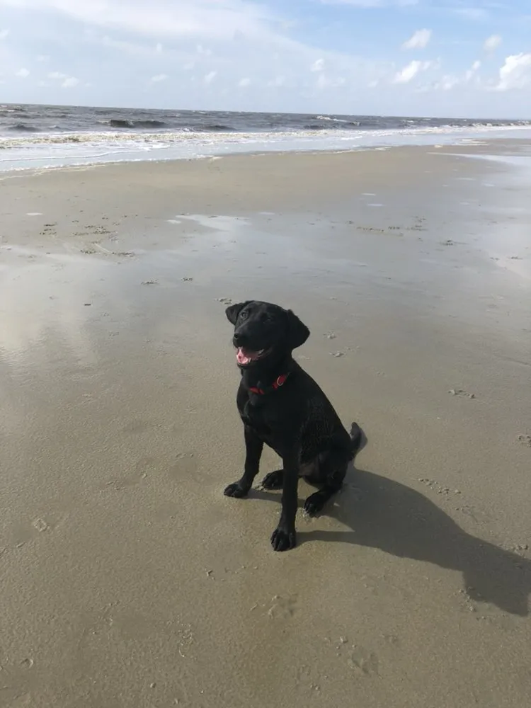 Slide of Donnelly's Peach Services