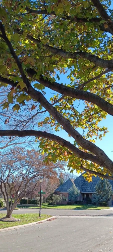 Slide of Doo It All Dave's Remodeling and Services