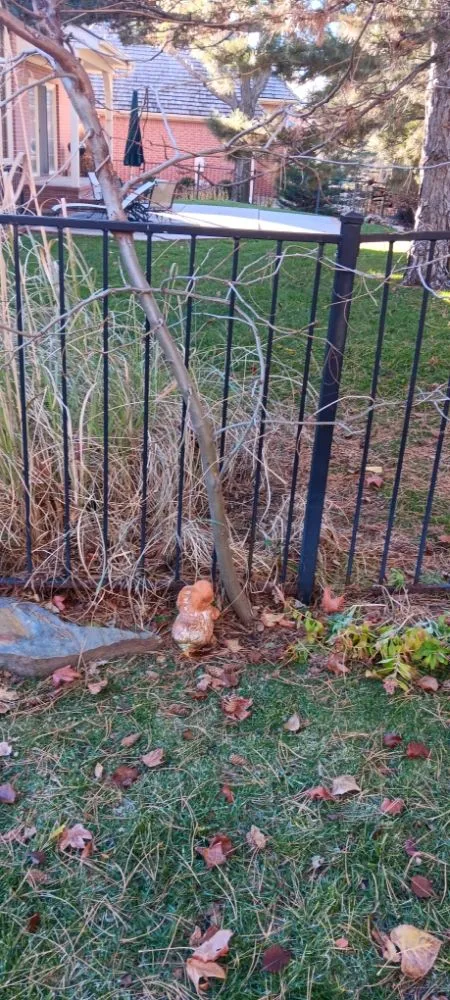 Emergency plumbing repair in Wichita, KS by Doo It All Dave's Remodeling and Services