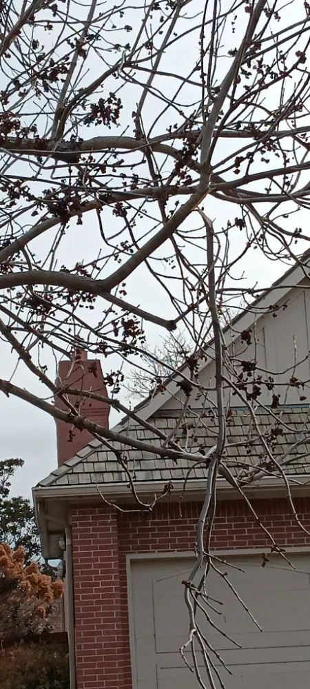 Slide of Doo It All Dave's Remodeling and Services