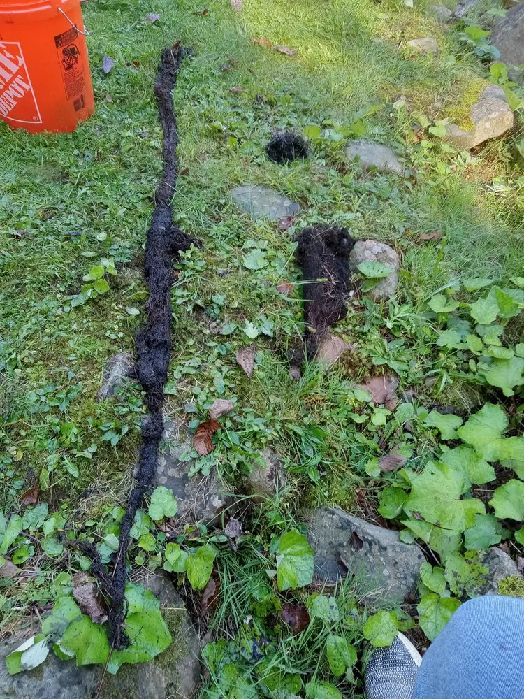 Slide of Doody Calls Drain Service