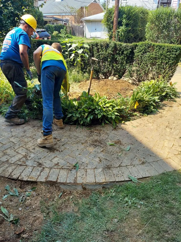 Slide of Doodyman to the Rescue