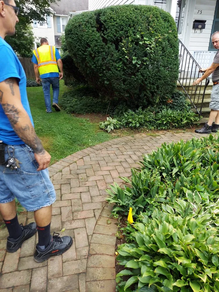 Slide of Doodyman to the Rescue