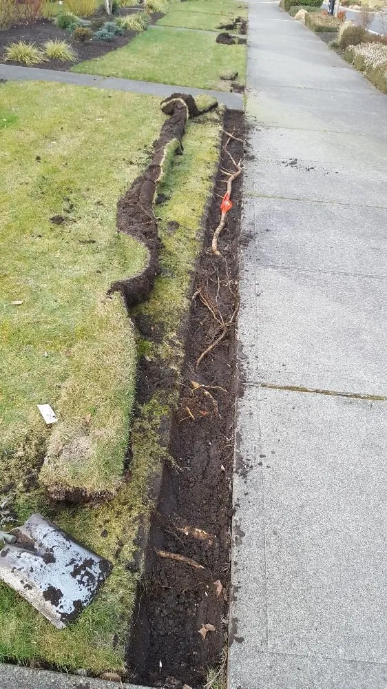 Slide of Douglas Irrigation