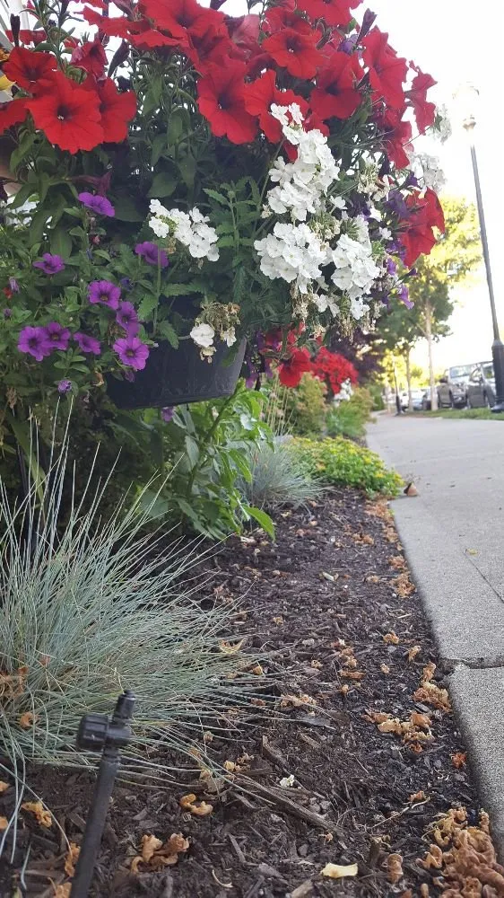 Slide of Douglas Irrigation